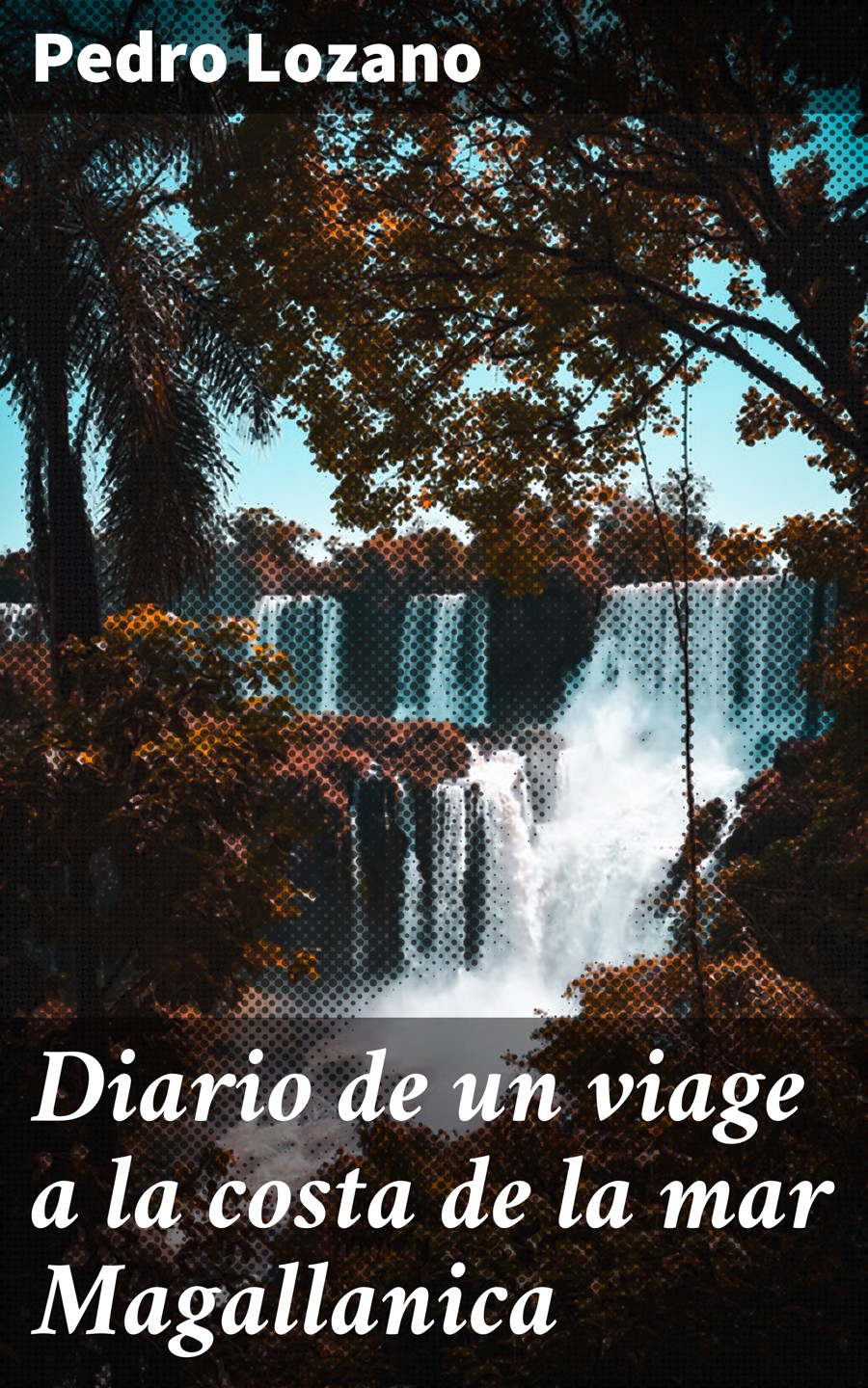 Обложка книги «Diario de un viage a la costa de la mar Magallanica»