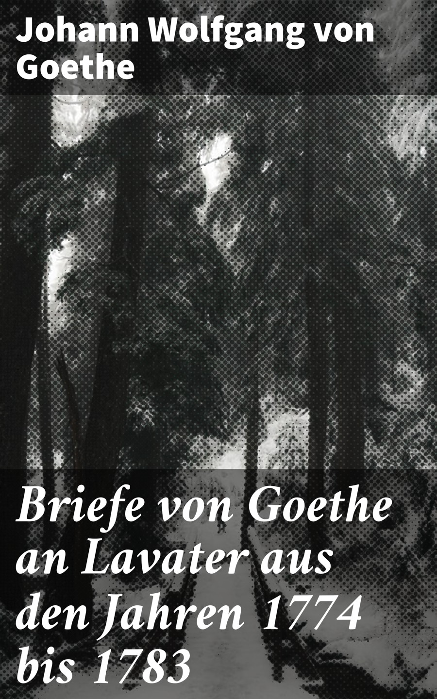 Обложка книги «Briefe von Goethe an Lavater aus den Jahren 1774 bis 1783»