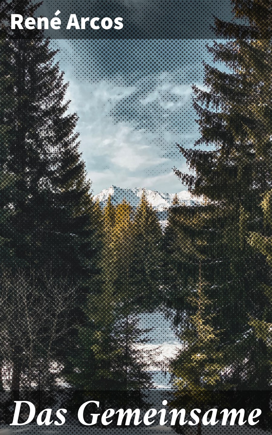Обложка книги «Das Gemeinsame»