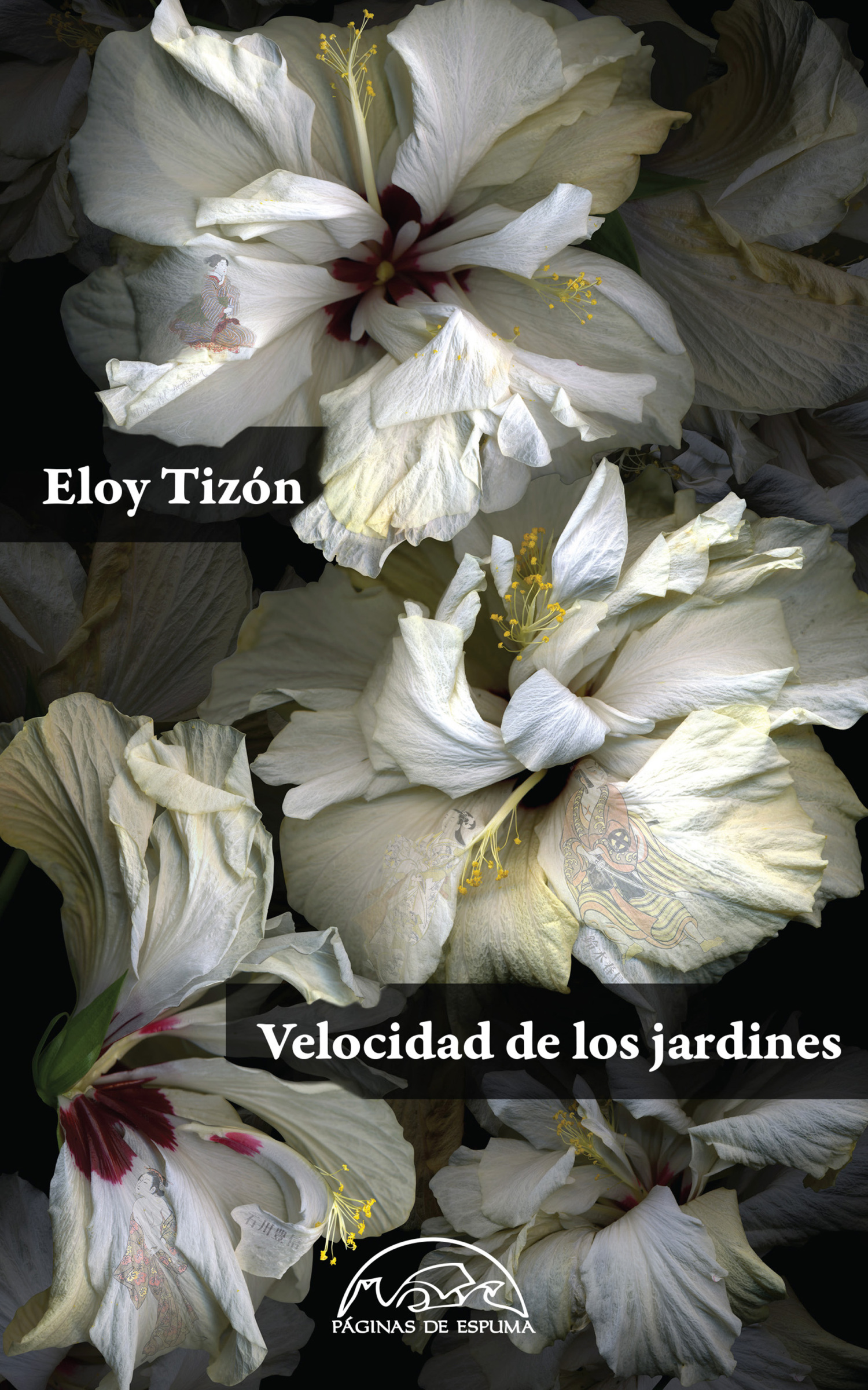 Обложка книги «Velocidad de los jardines»