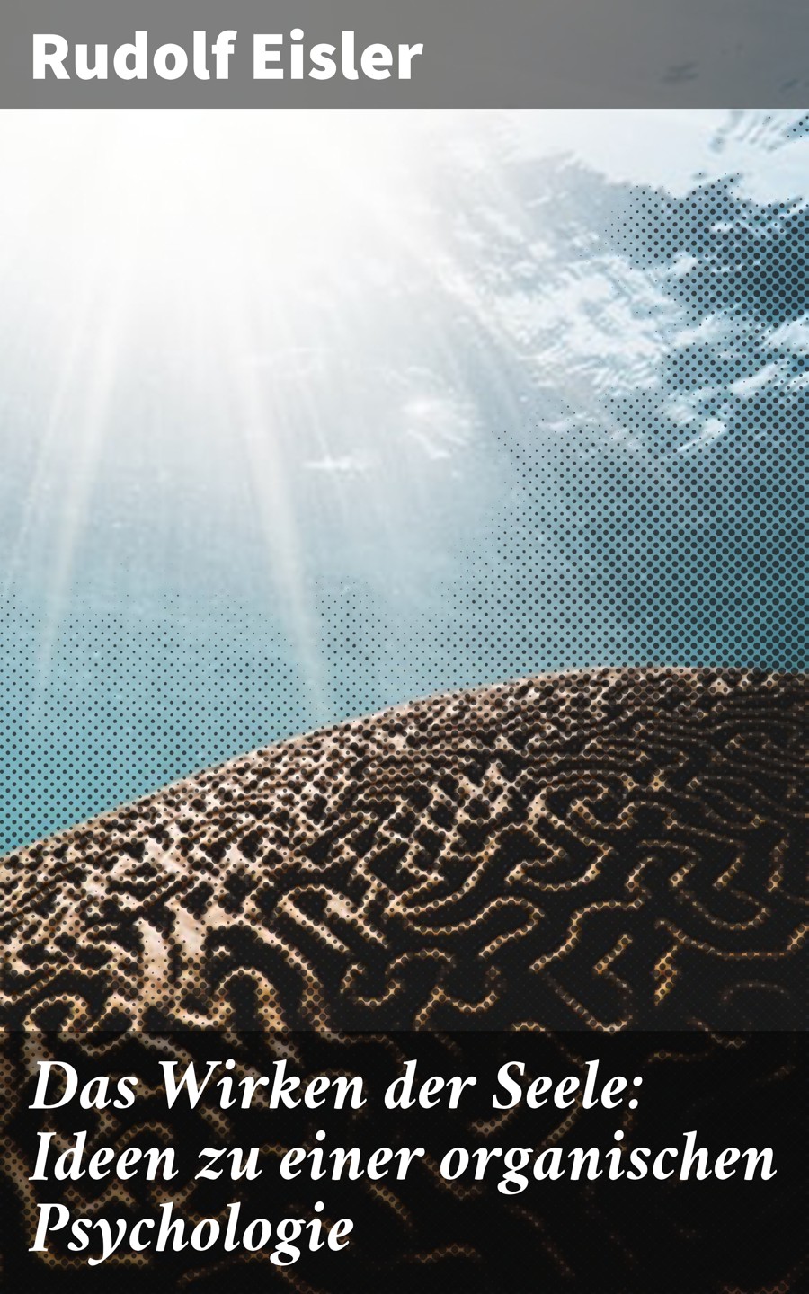 Обложка книги «Das Wirken der Seele: Ideen zu einer organischen Psychologie»