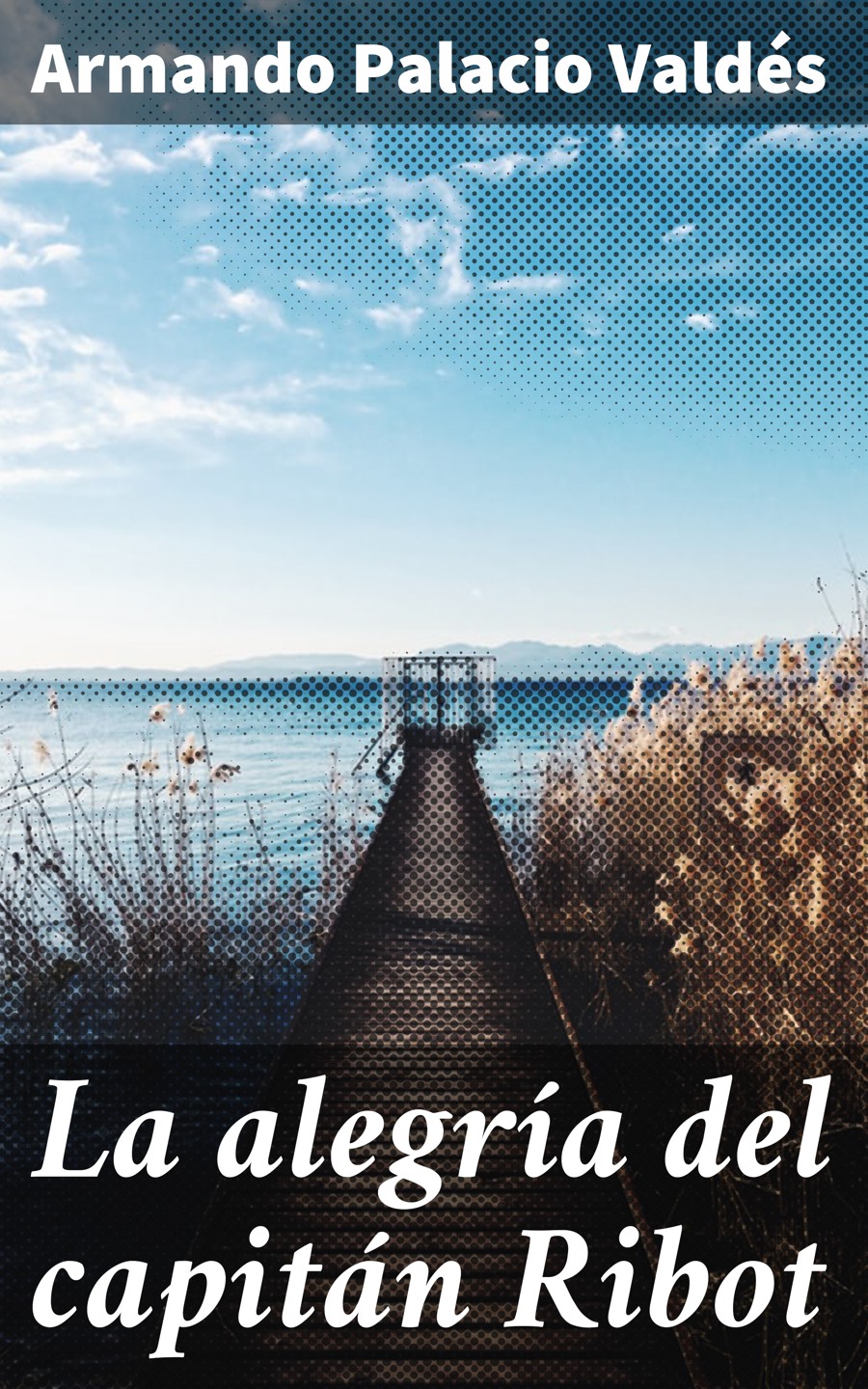Обложка книги «La alegría del capitán Ribot»