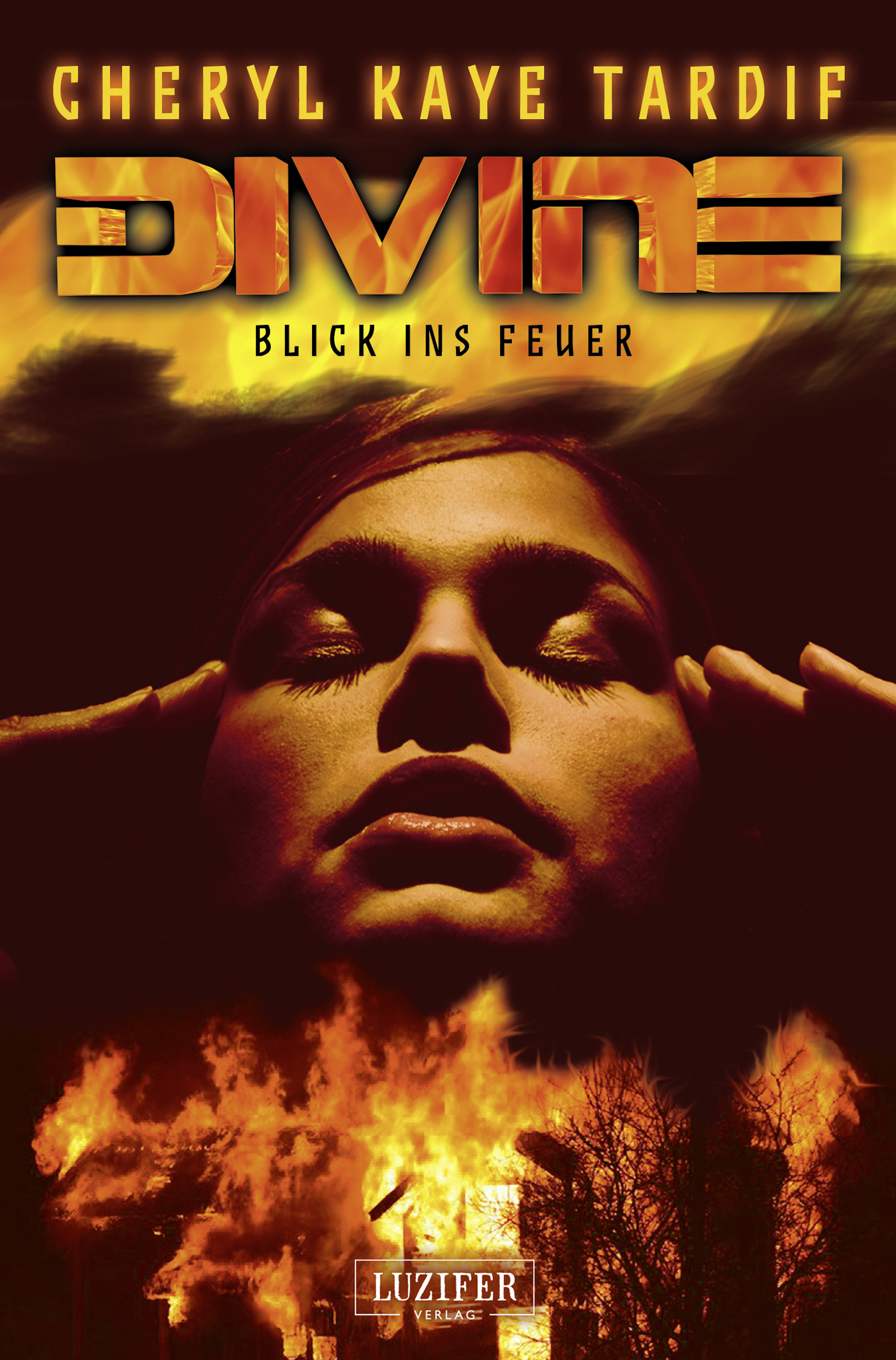 Обложка книги «DIVINE - BLICK INS FEUER»