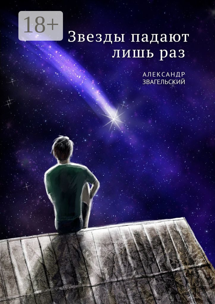 Обложка книги «Звезды падают лишь раз»