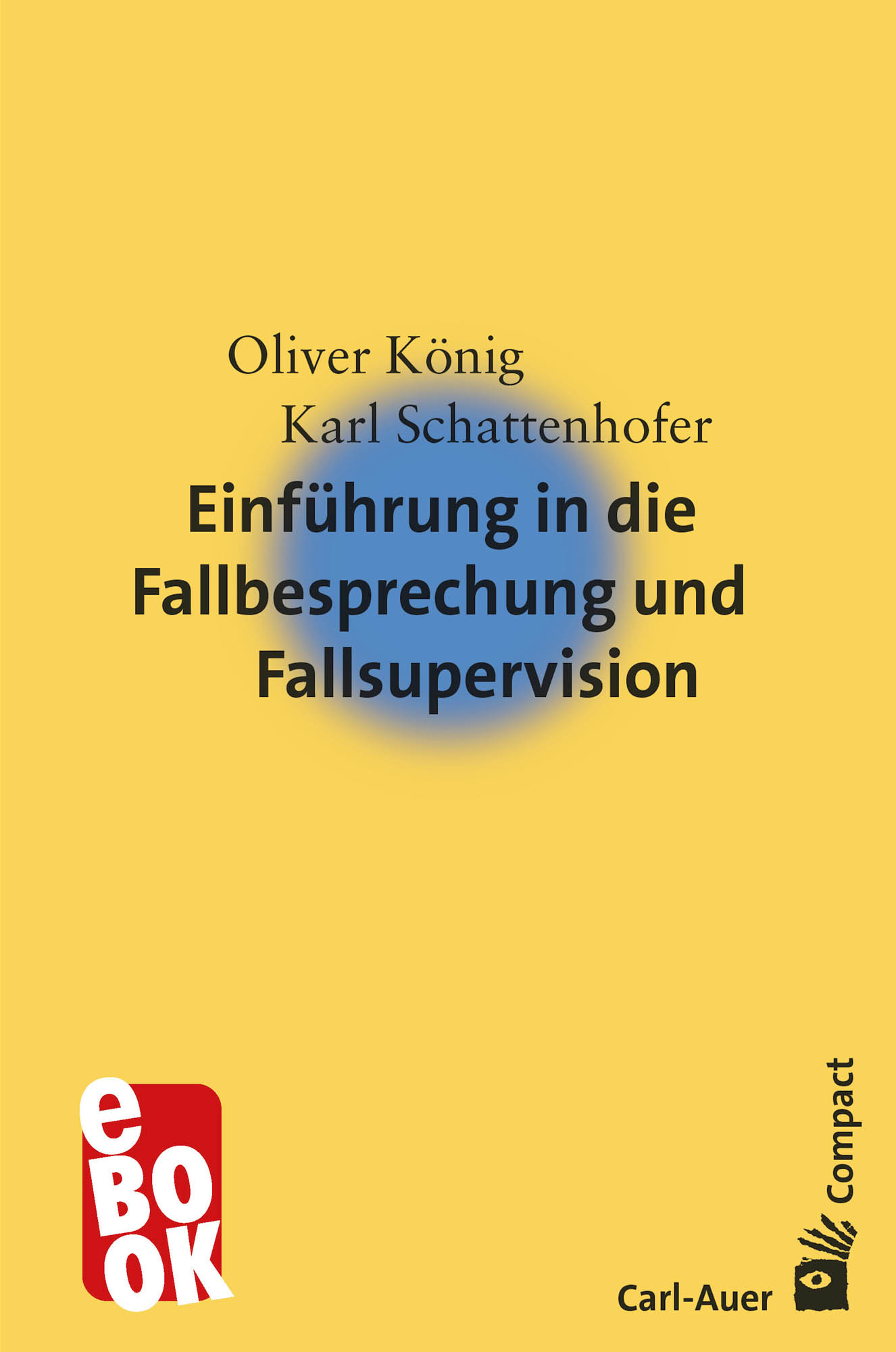 Обложка книги «Einführung in die Fallbesprechung und Fallsupervision»