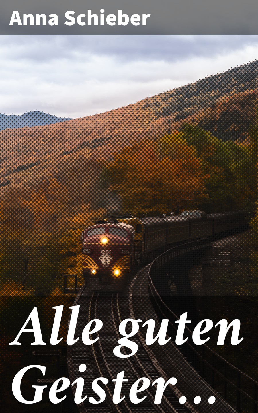 Обложка книги «Alle guten Geister…»