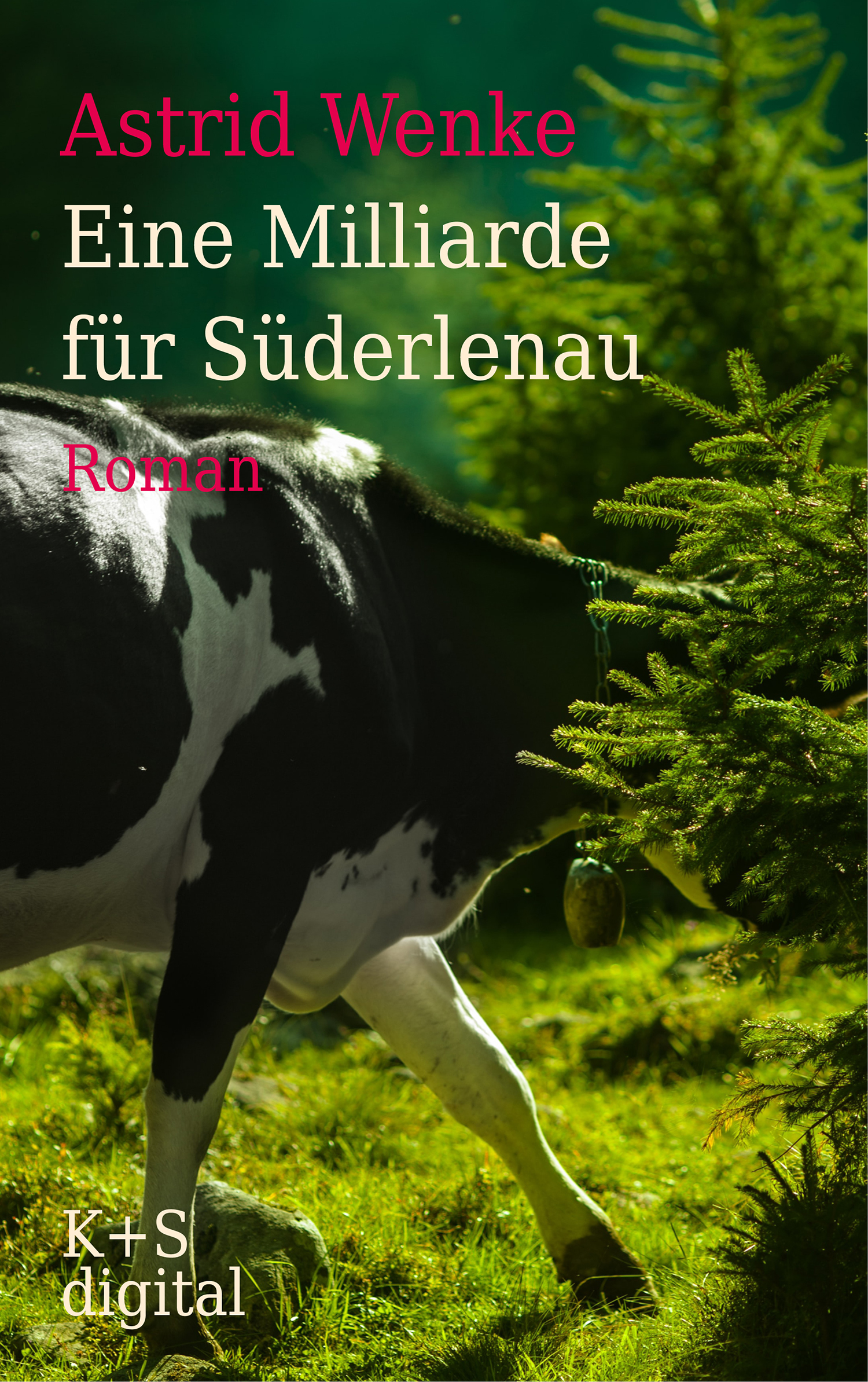 Обложка книги «Eine Milliarde für Süderlenau»