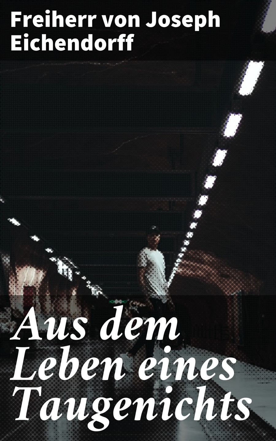 Обложка книги «Aus dem Leben eines Taugenichts»