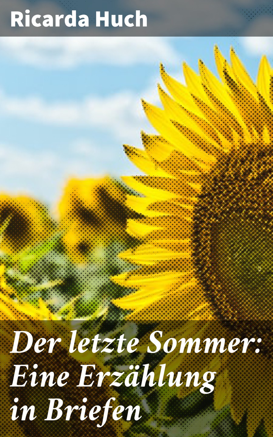Обложка книги «Der letzte Sommer: Eine Erzählung in Briefen»