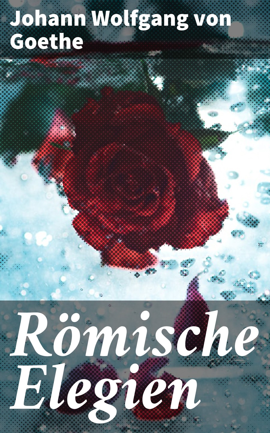 Обложка книги «Römische Elegien»