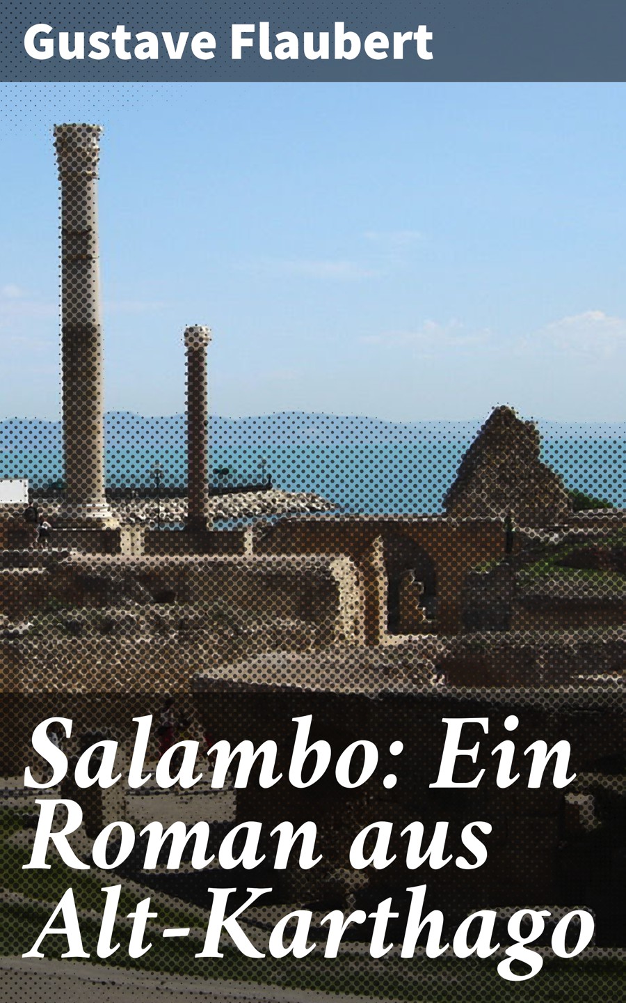 Обложка книги «Salambo: Ein Roman aus Alt-Karthago»