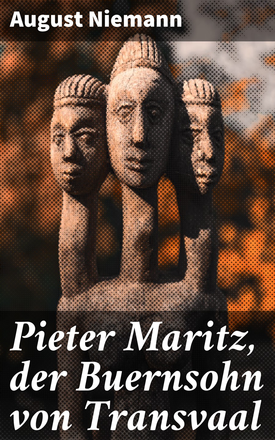 Обложка книги «Pieter Maritz, der Buernsohn von Transvaal»