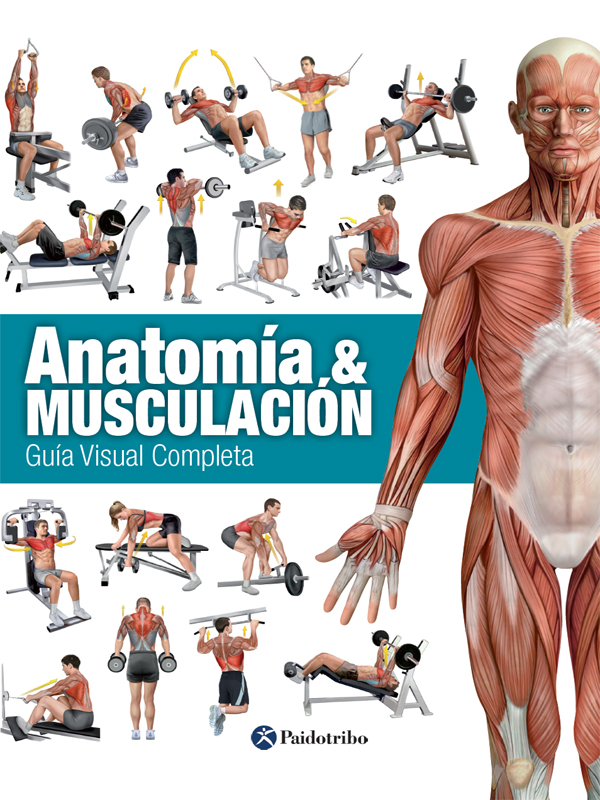 Обложка книги «Anatomía & Musculación»