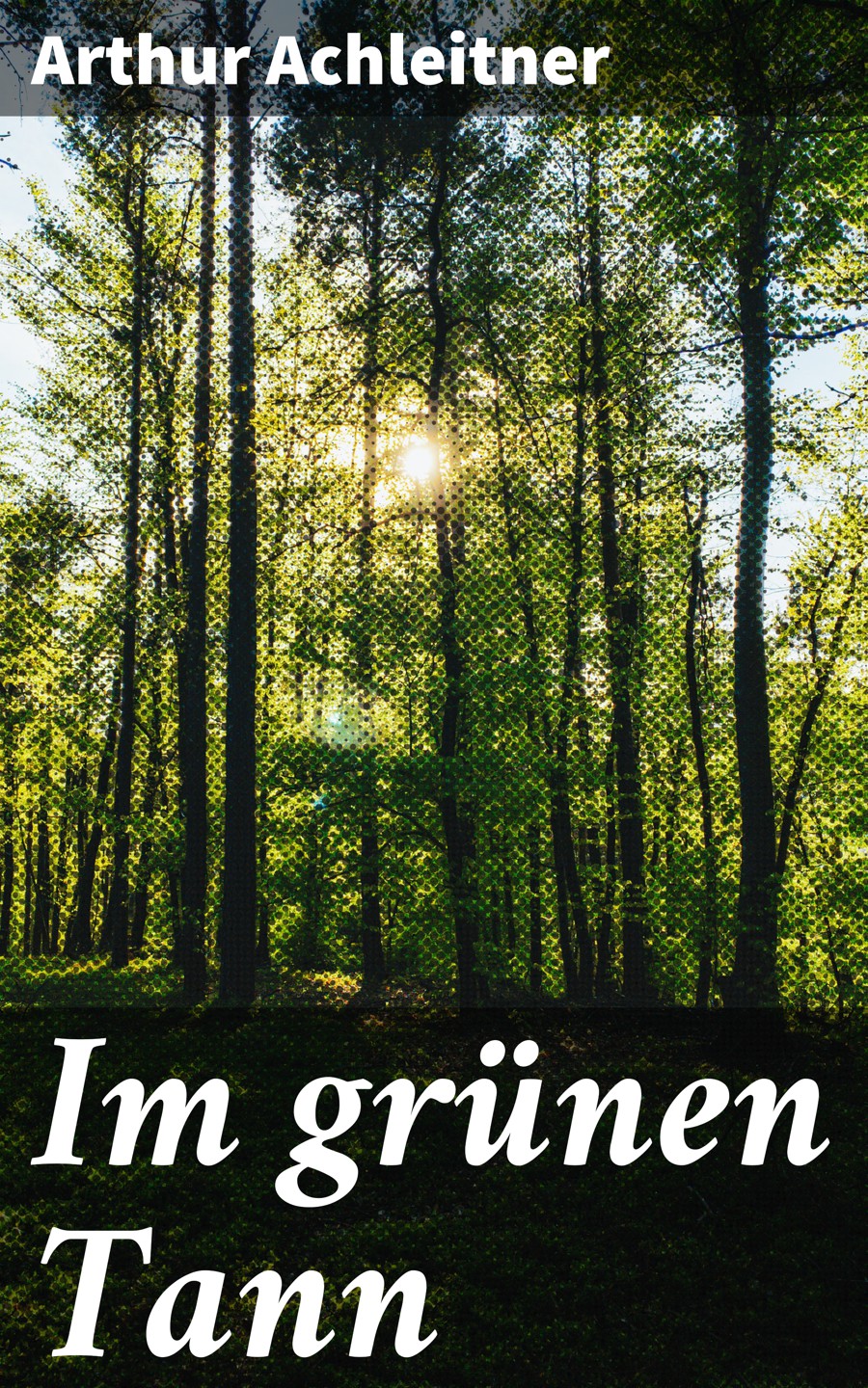 Обложка книги «Im grünen Tann»