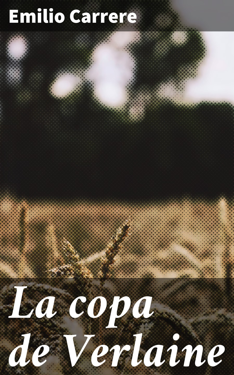 Обложка книги «La copa de Verlaine»