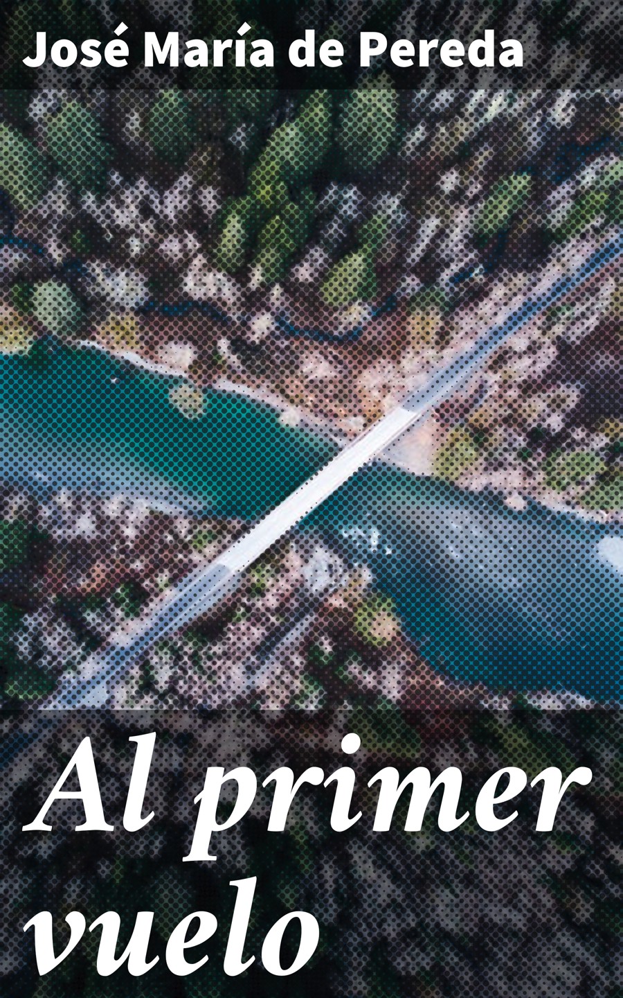 Обложка книги «Al primer vuelo»