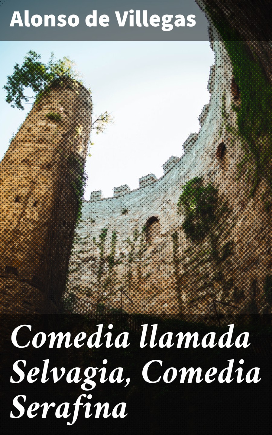 Обложка книги «Comedia llamada Selvagia, Comedia Serafina»