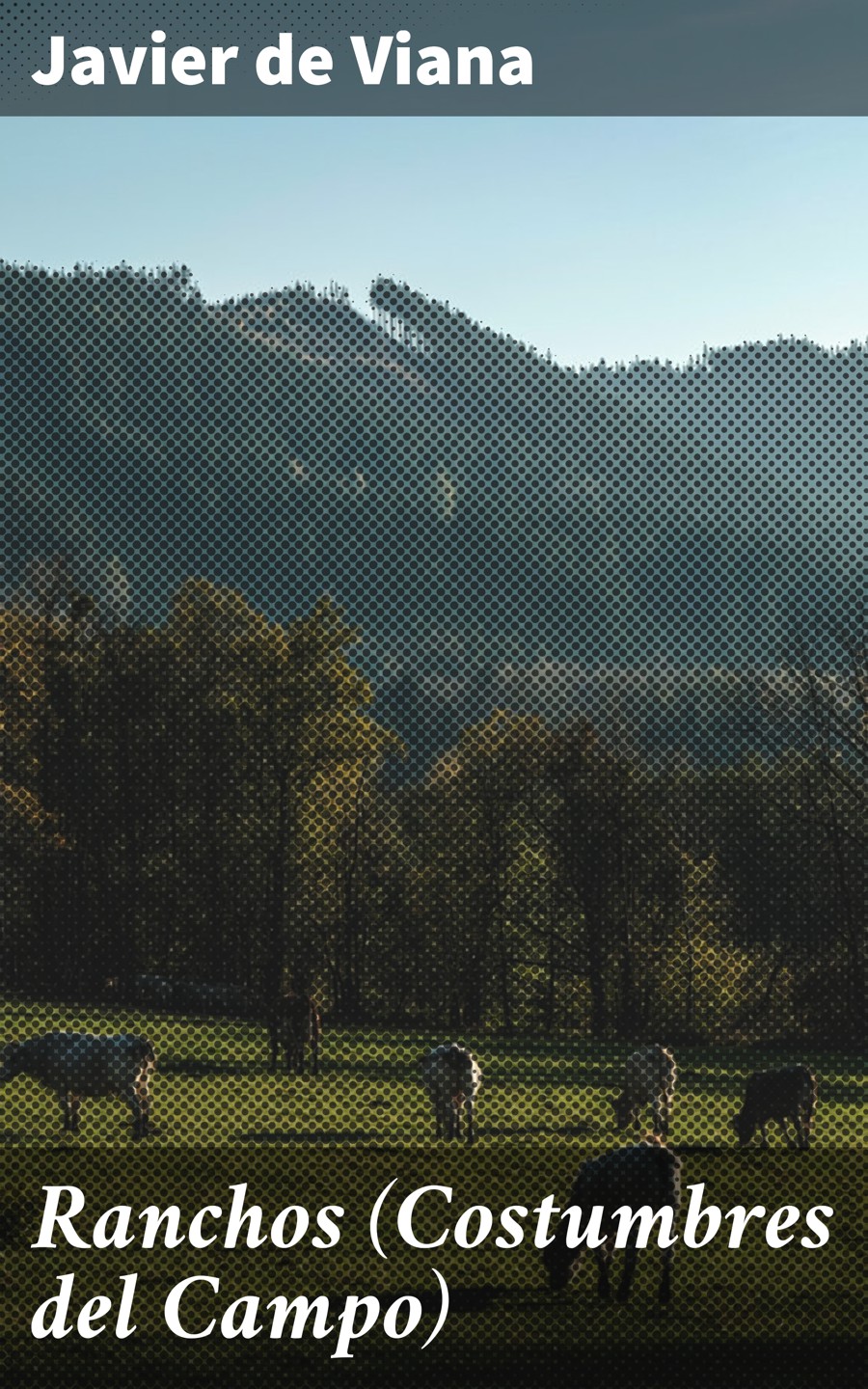 Обложка книги «Ranchos (Costumbres del Campo)»