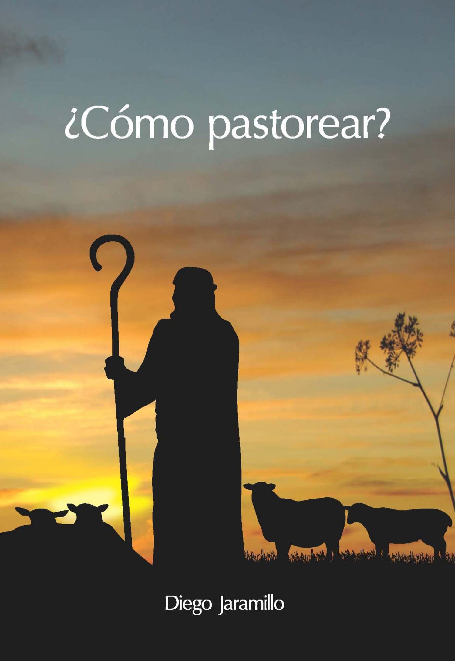 Обложка книги «¿Cómo pastorear?»