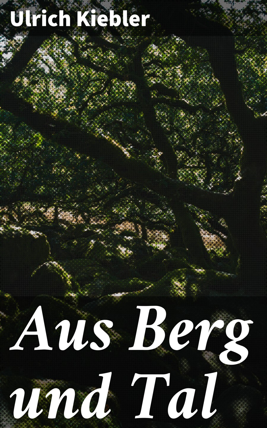 Обложка книги «Aus Berg und Tal»