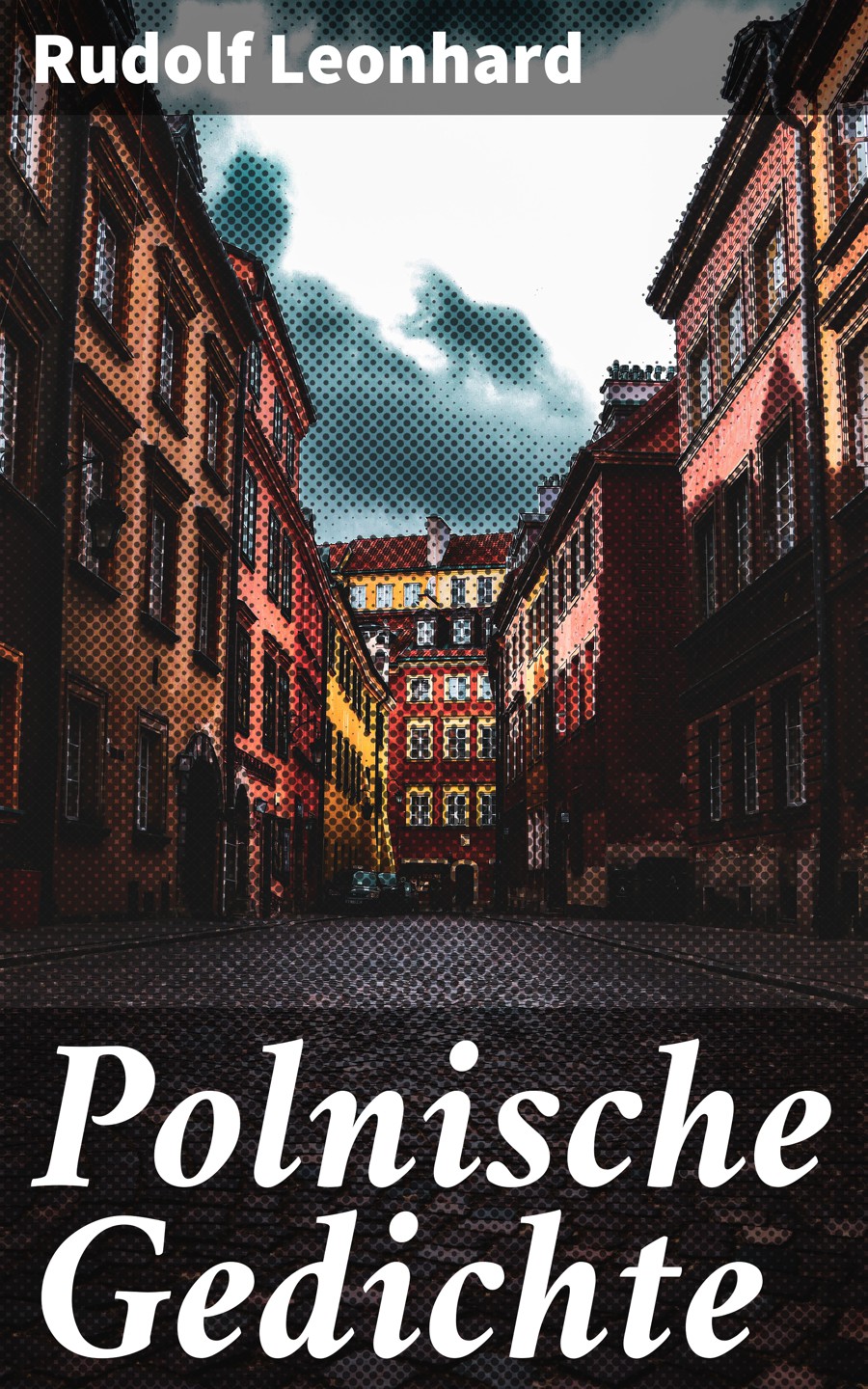 Обложка книги «Polnische Gedichte»