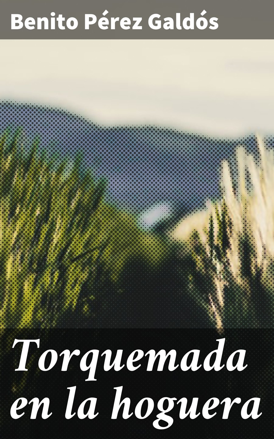 Обложка книги «Torquemada en la hoguera»