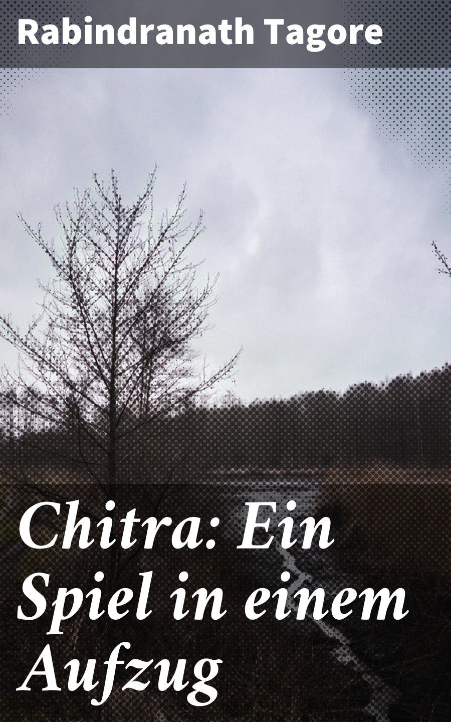 Обложка книги «Chitra: Ein Spiel in einem Aufzug»
