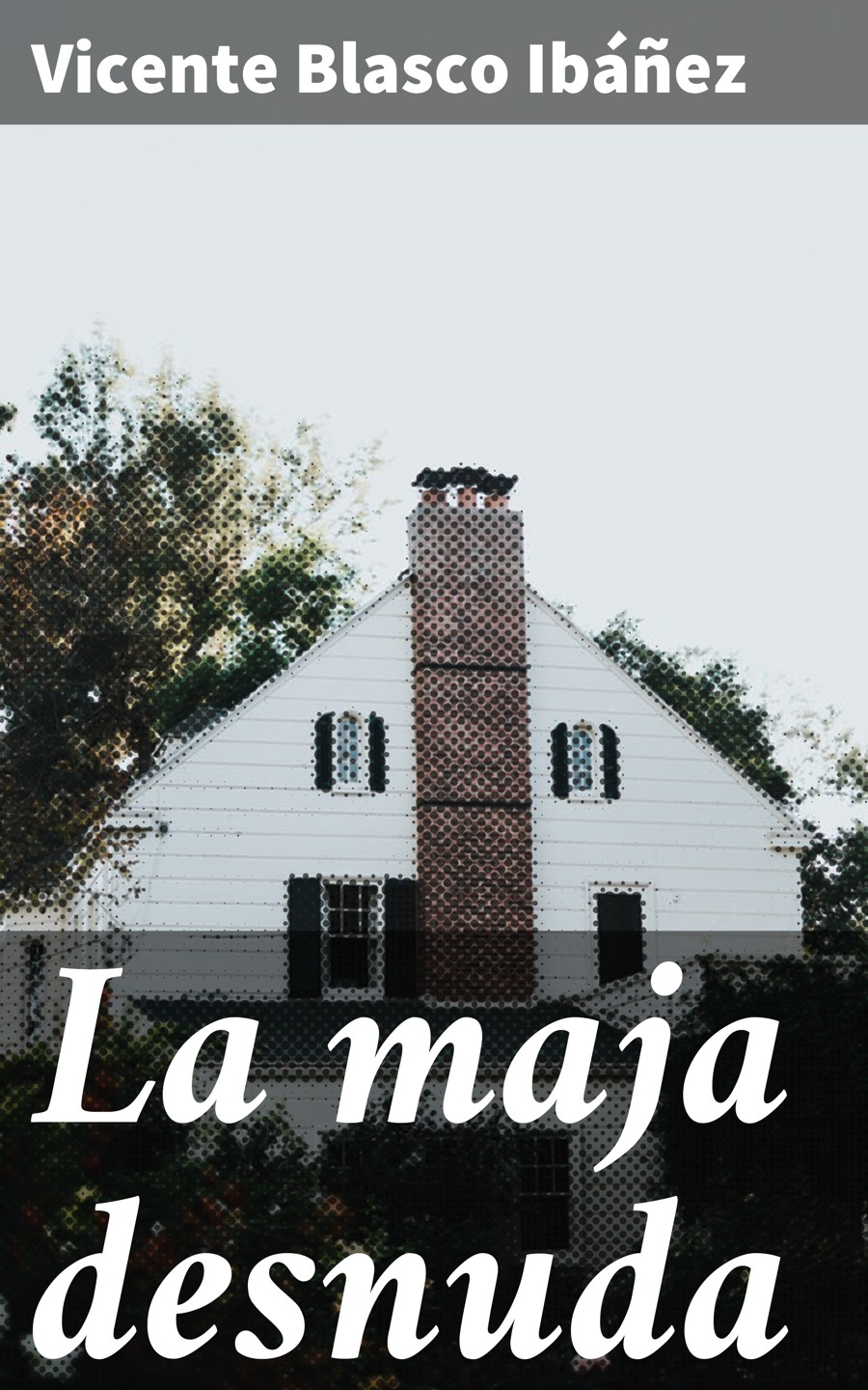 Обложка книги «La maja desnuda»