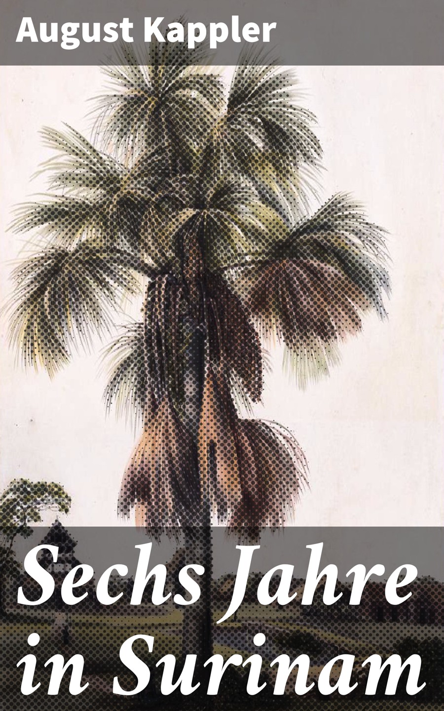 Обложка книги «Sechs Jahre in Surinam»