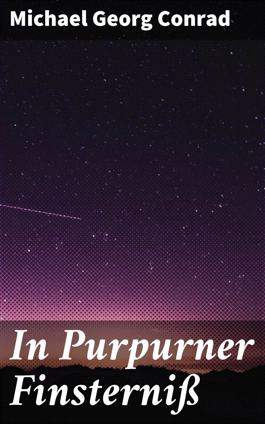 Обложка книги «In Purpurner Finsterniß»