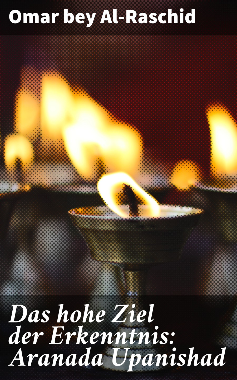 Обложка книги «Das hohe Ziel der Erkenntnis: Aranada Upanishad»