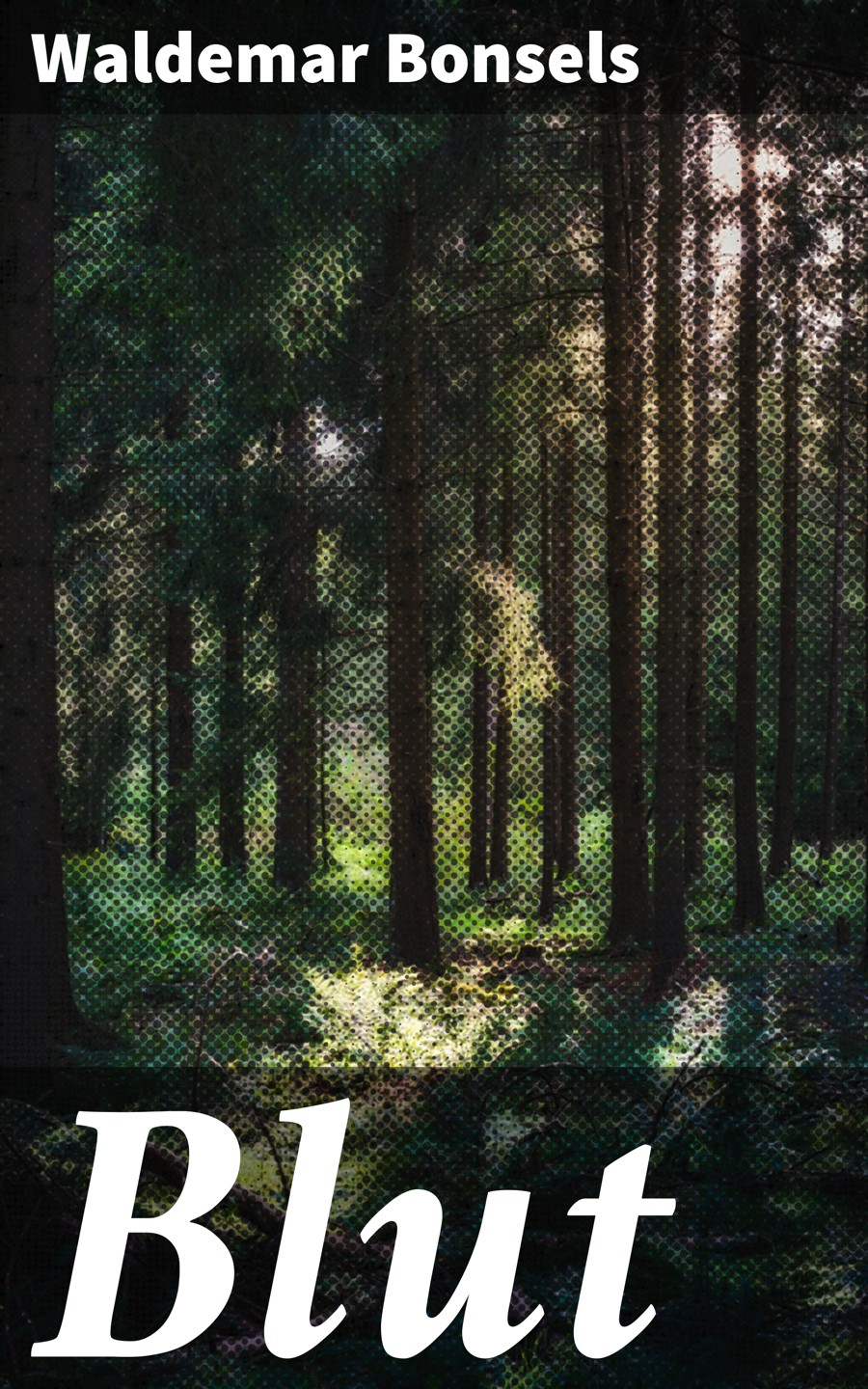 Обложка книги «Blut»