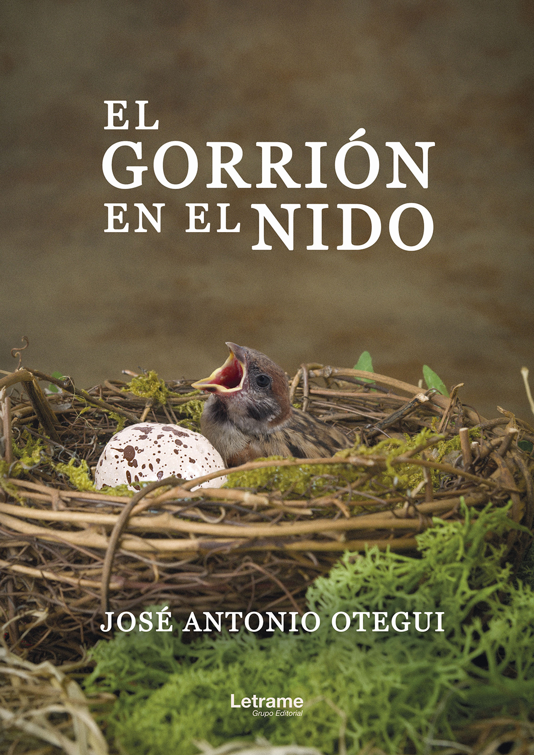 Обложка книги «El gorrión en el nido»