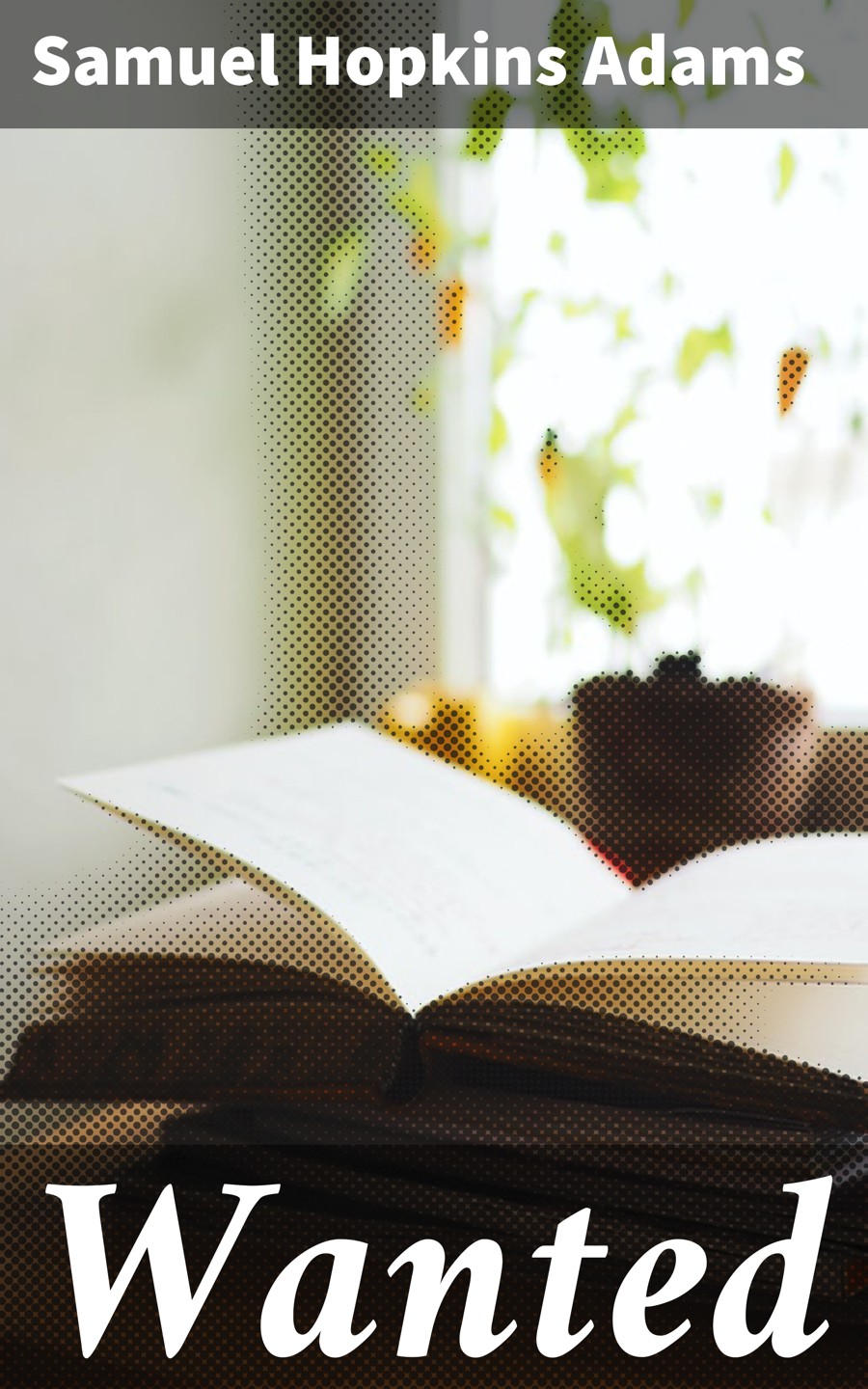 Обложка книги «Wanted»