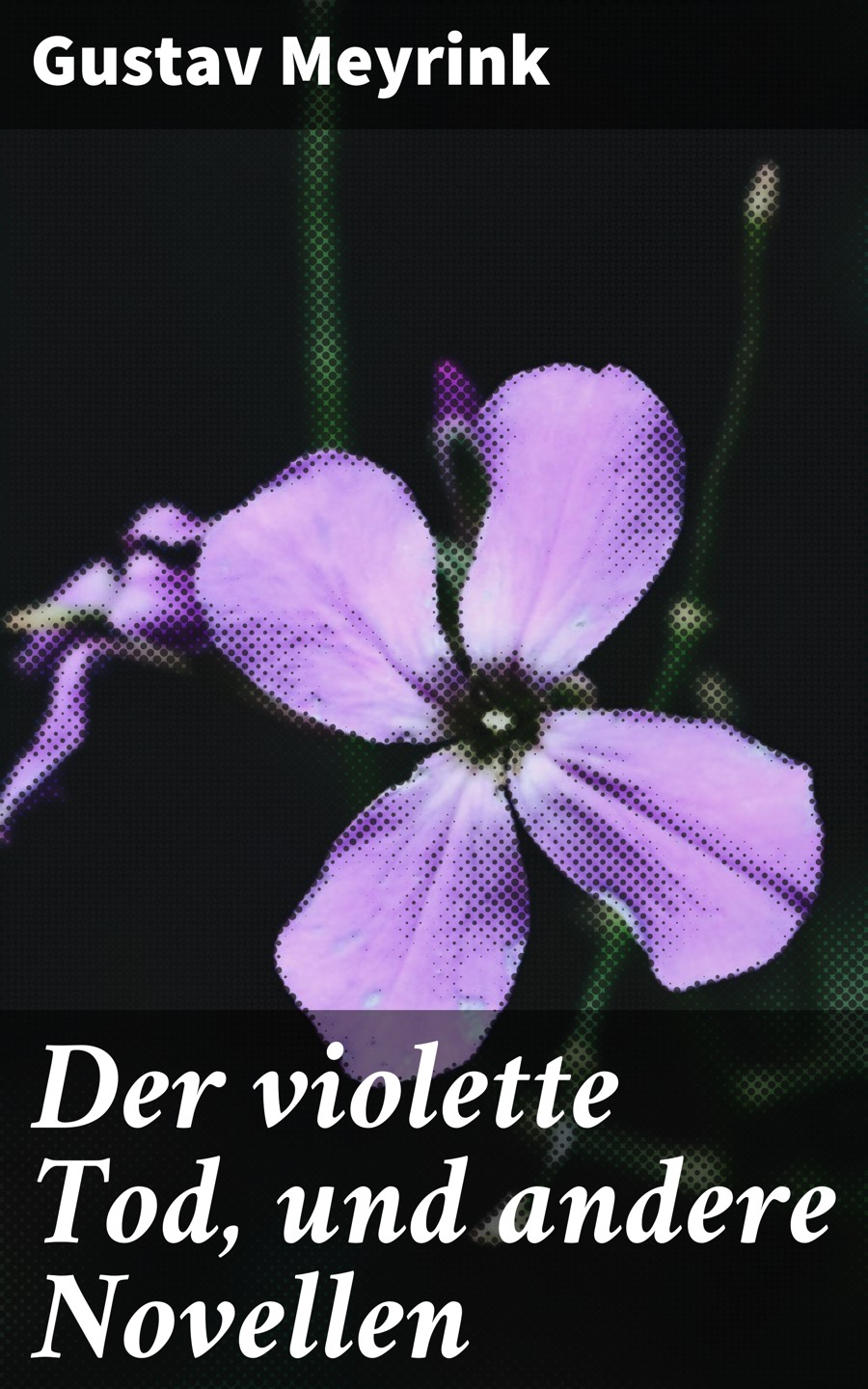 Обложка книги «Der violette Tod, und andere Novellen»