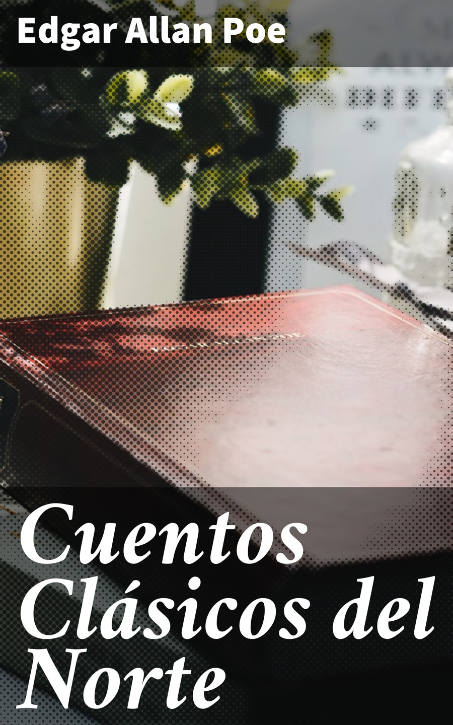 Обложка книги «Cuentos Clásicos del Norte»