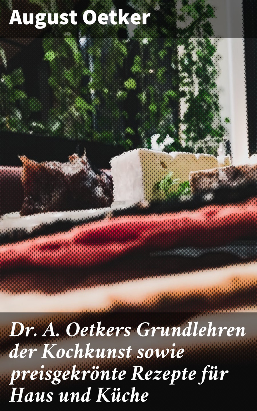 Обложка книги «Dr A. Oetkers Grundlehren der Kochkunst sowie preisgekrönte Rezepte für Haus und Küche»