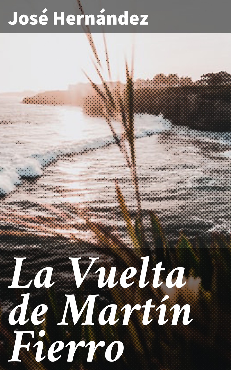Обложка книги «La Vuelta de Martín Fierro»