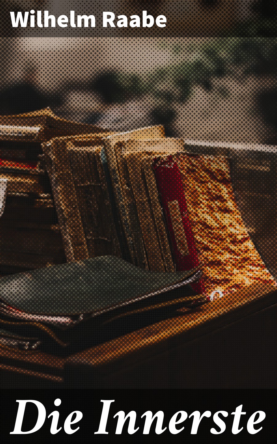 Обложка книги «Die Innerste»