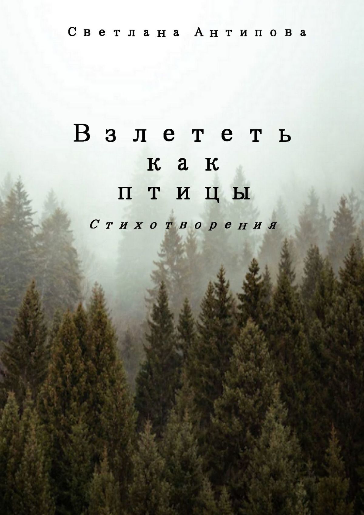 Обложка книги «Взлететь как птицы»