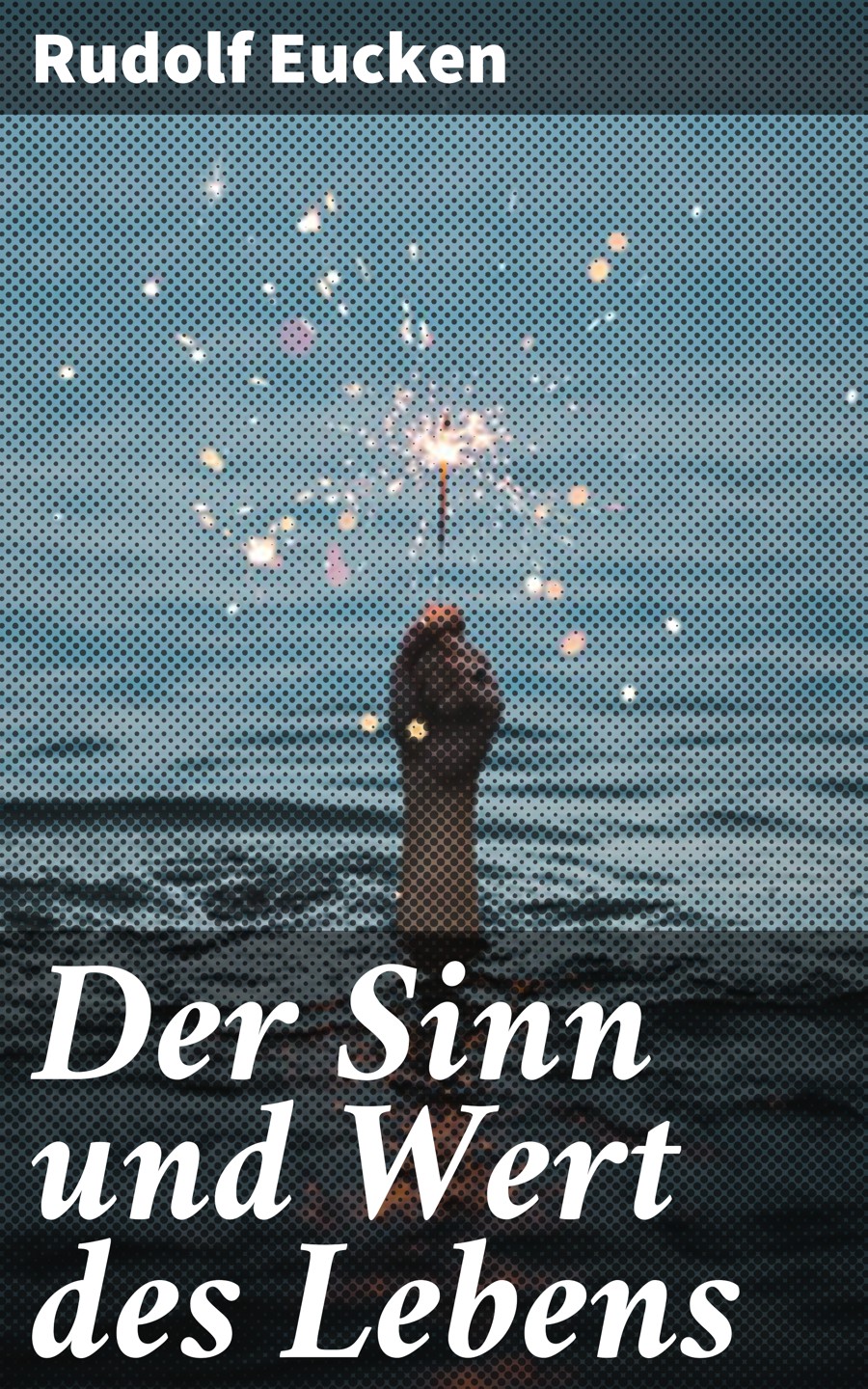 Обложка книги «Der Sinn und Wert des Lebens»