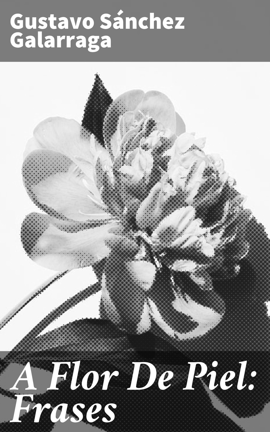 Обложка книги «A Flor De Piel: Frases»