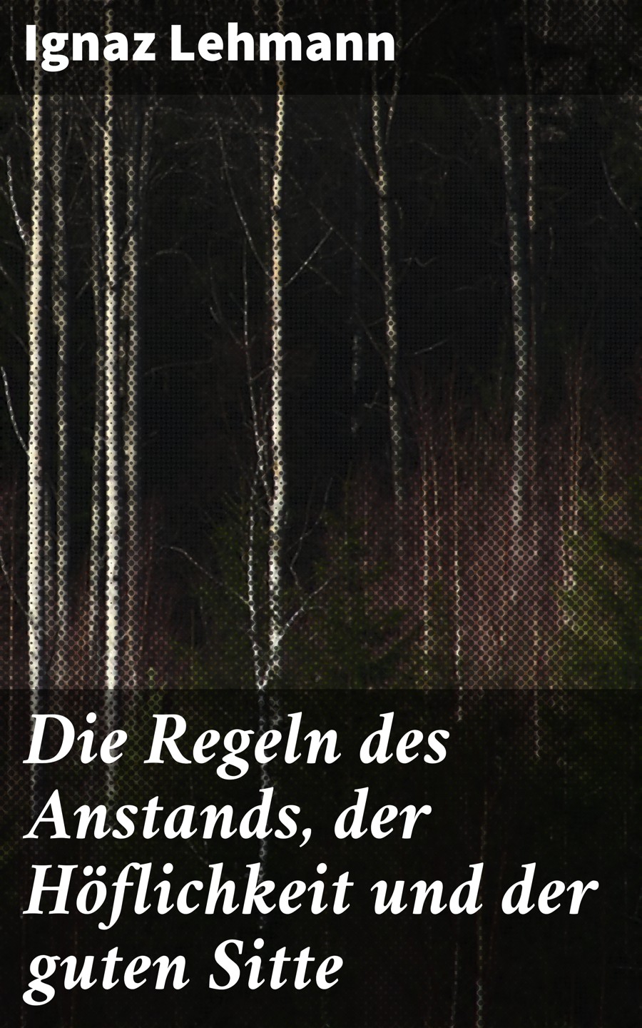 Обложка книги «Die Regeln des Anstands, der Höflichkeit und der guten Sitte»