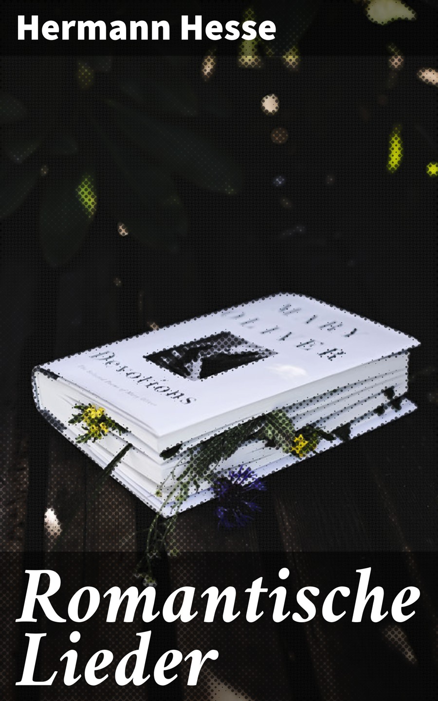 Обложка книги «Romantische Lieder»