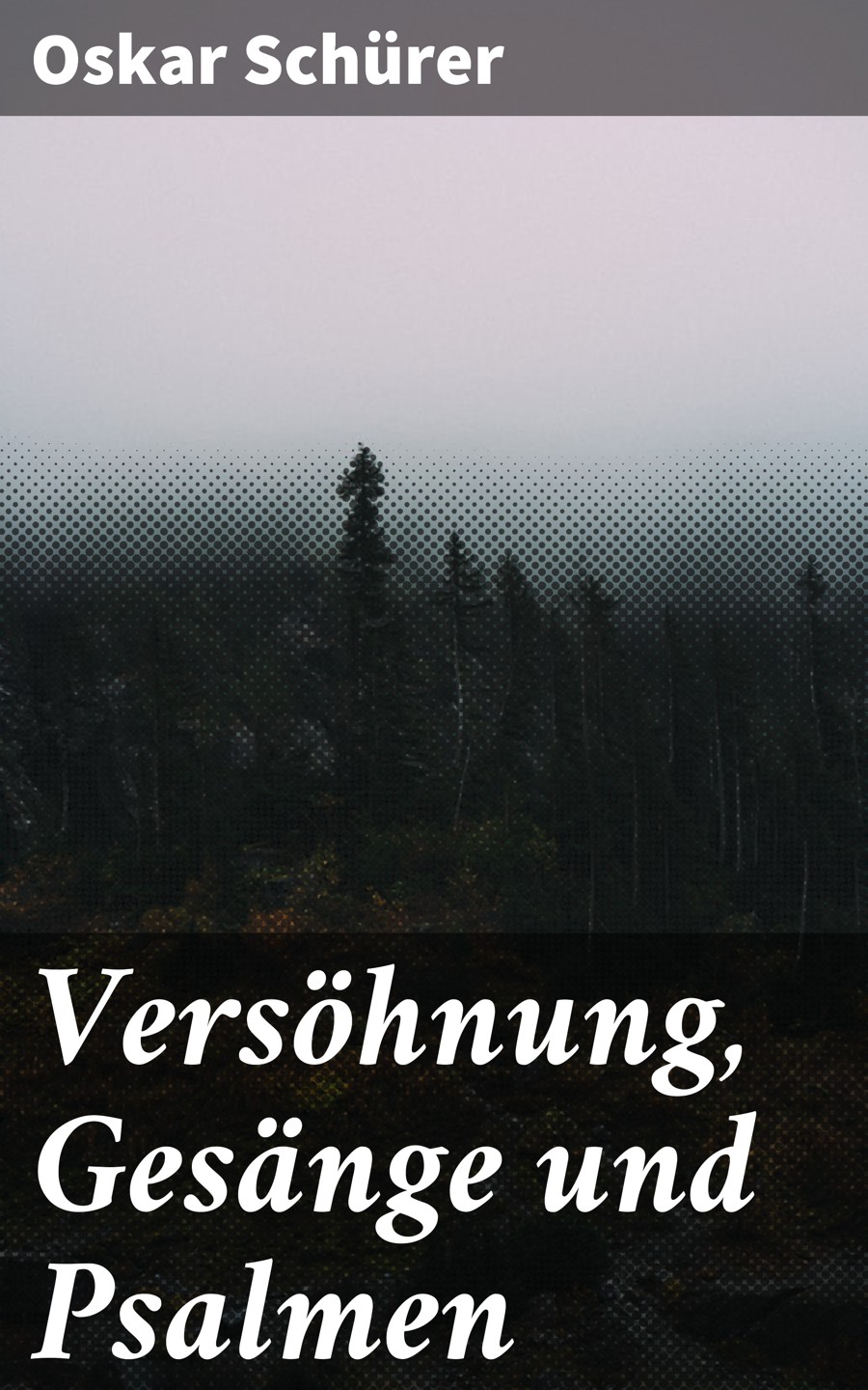 Обложка книги «Versöhnung, Gesänge und Psalmen»