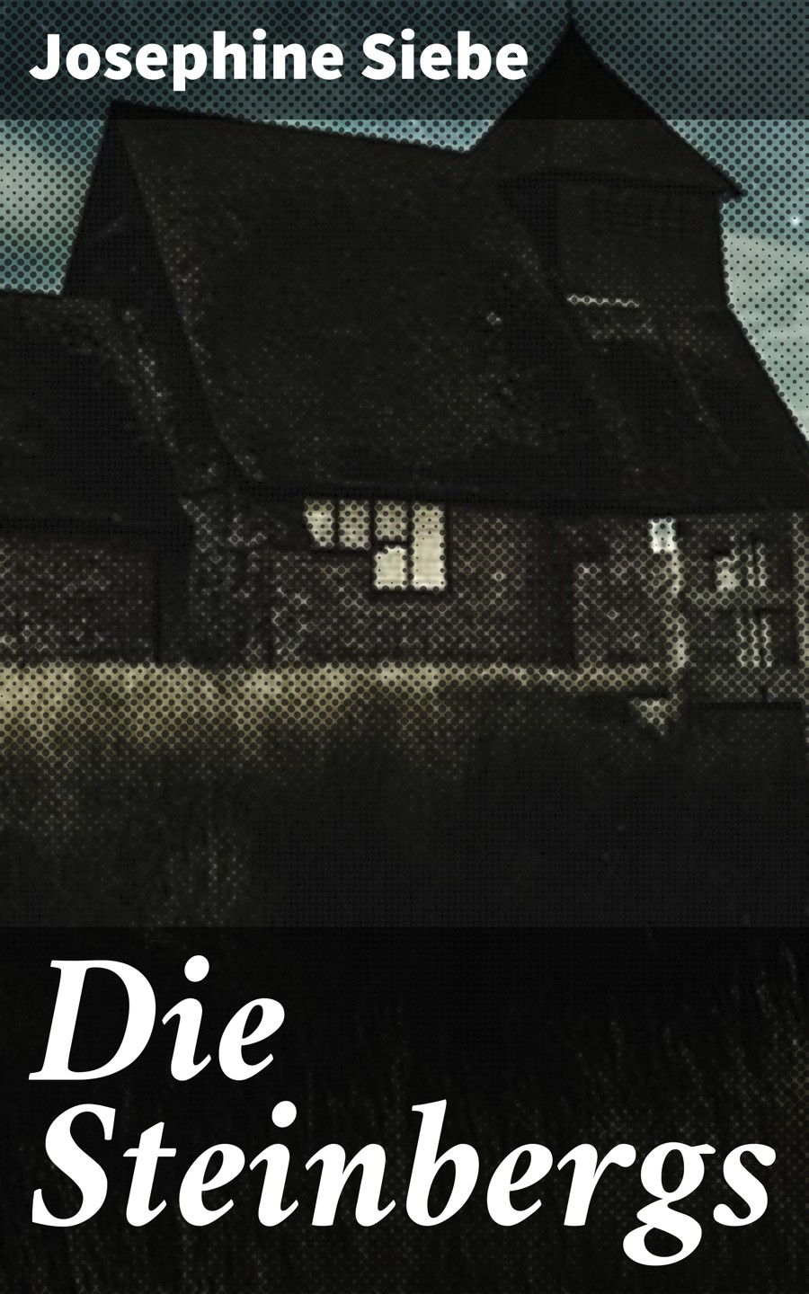 Обложка книги «Die Steinbergs»