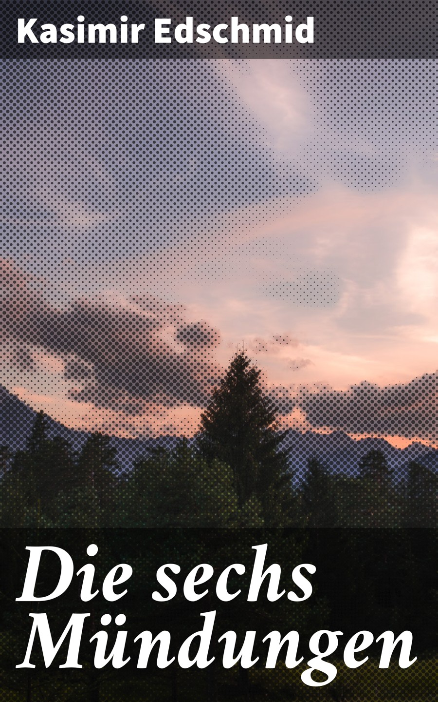 Обложка книги «Die sechs Mündungen»