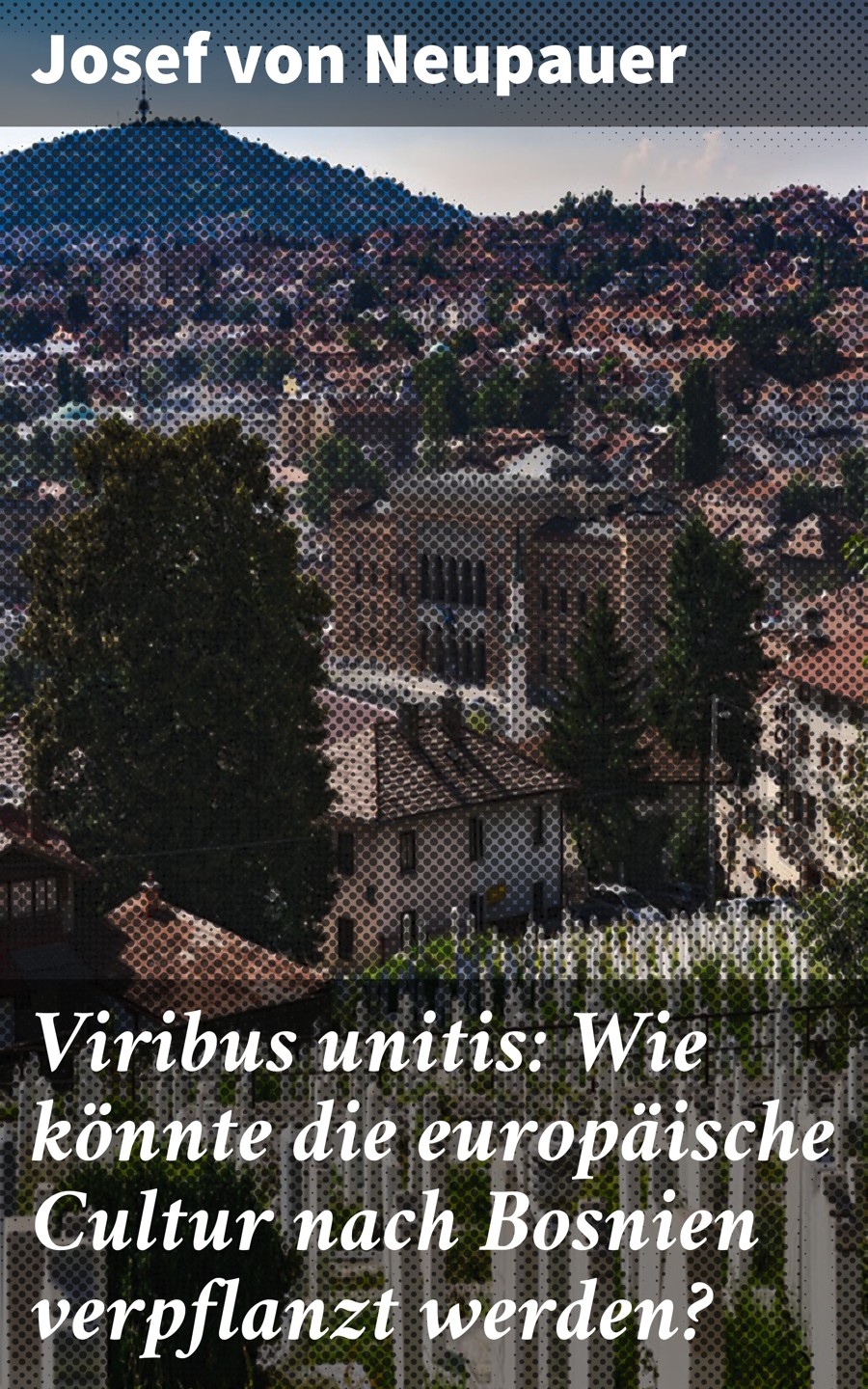 Обложка книги «Viribus unitis: Wie könnte die europäische Cultur nach Bosnien verpflanzt werden?»