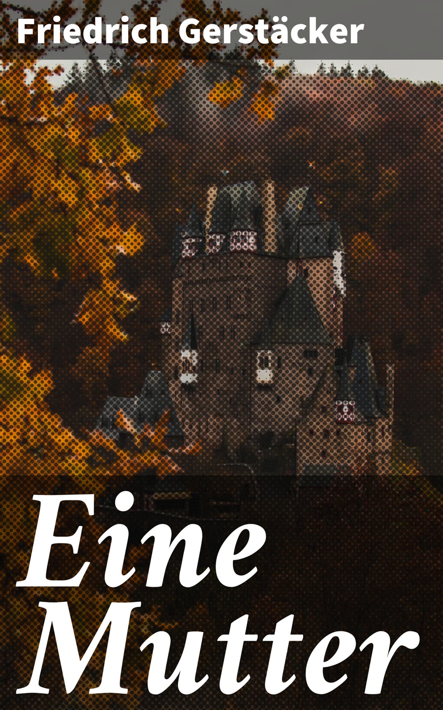 Обложка книги «Eine Mutter»
