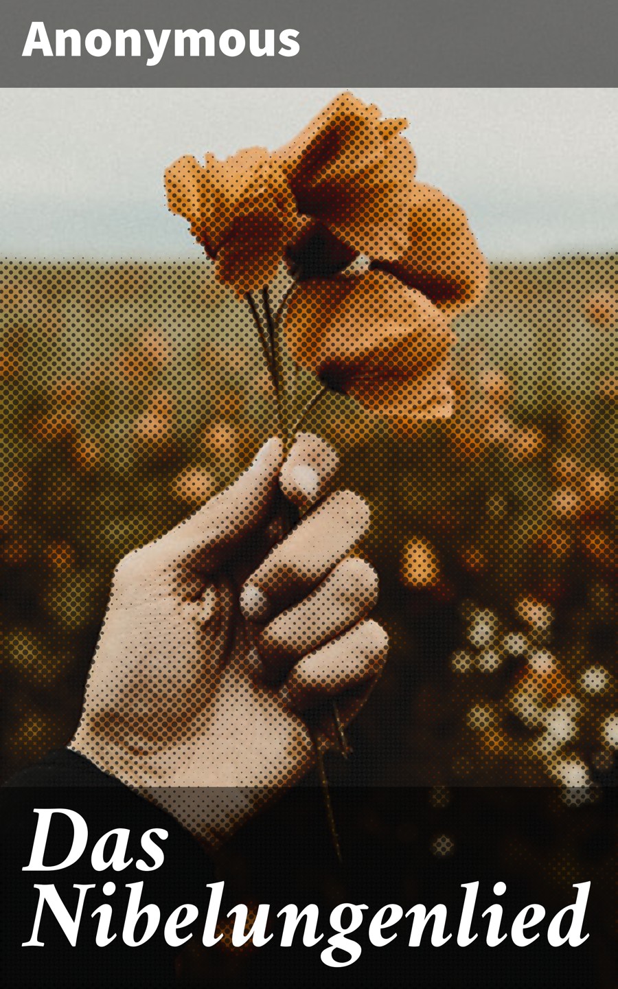 Обложка книги «Das Nibelungenlied»